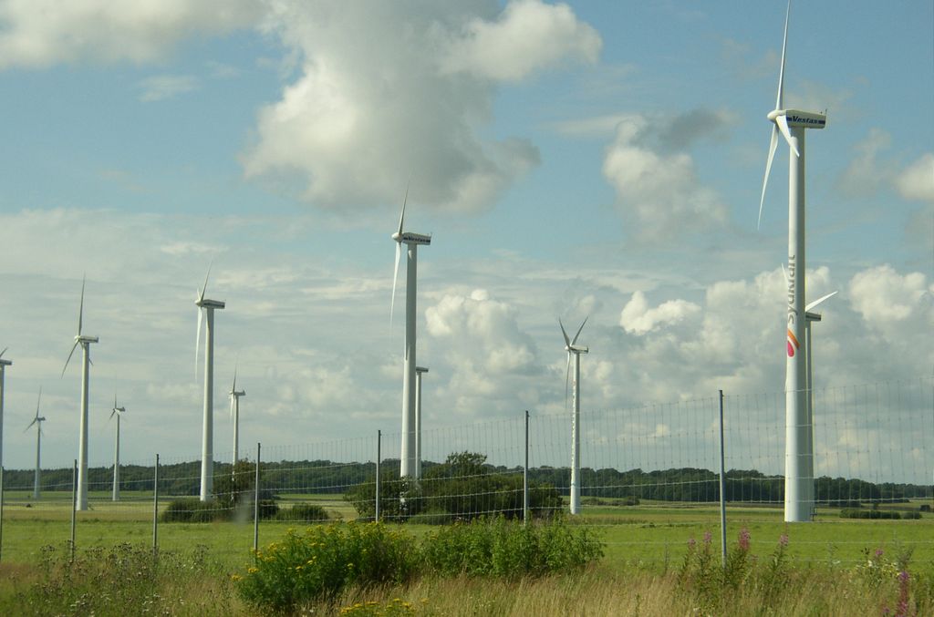 Champ d'éoliennes sur la route de Copenhague