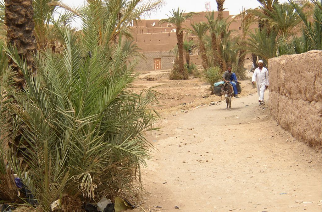 Zagora