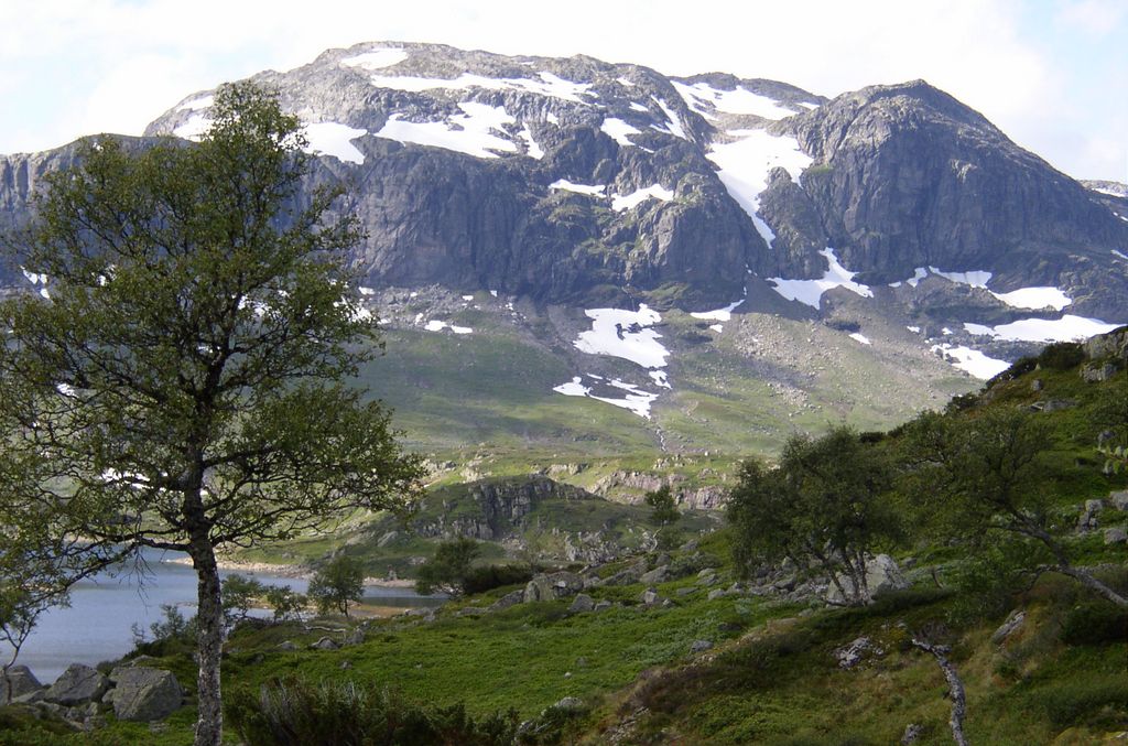 Paysage du Telemark
