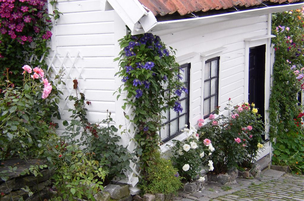 Stavanger : la vieille ville
