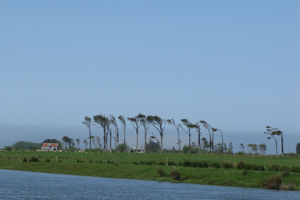 Paysage des Catlins