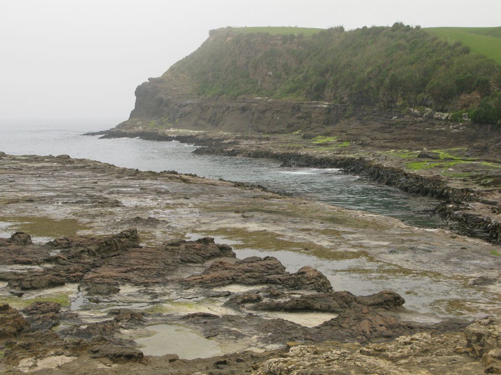 Forêt pétrifiée à Cuio Bay