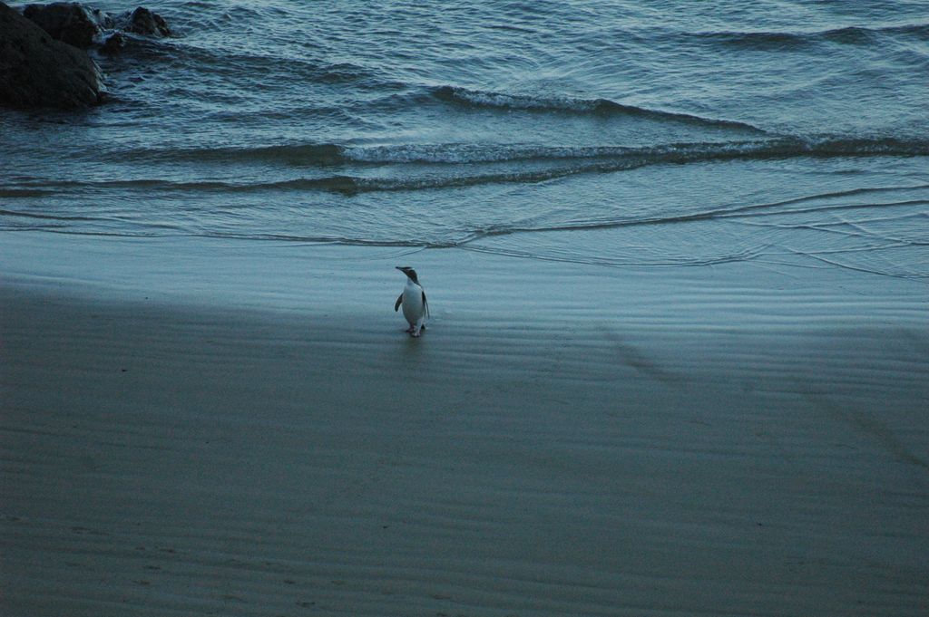 Retour à terre après une journée de pêche