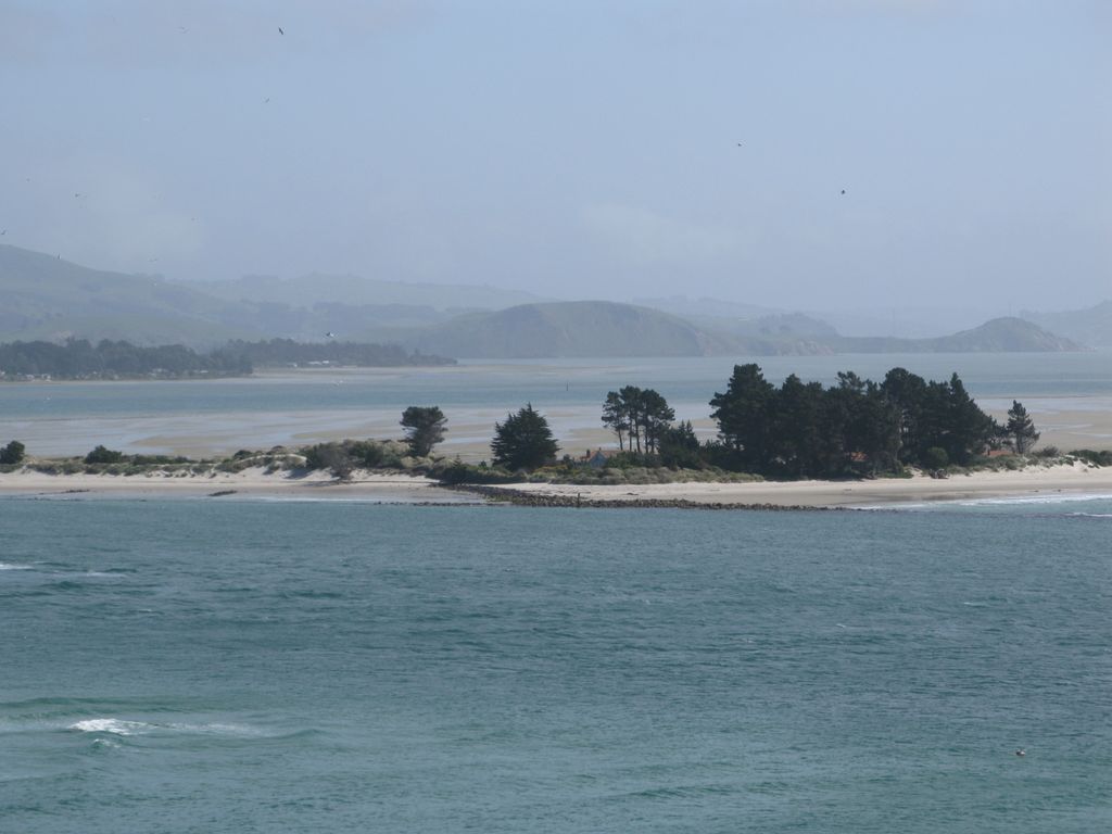 Otago Harbour