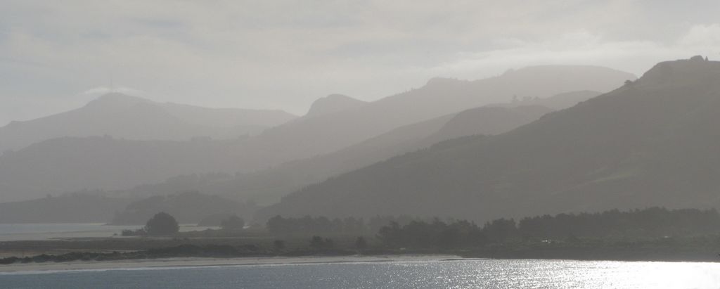 Lumière du soir sur Otago harbour