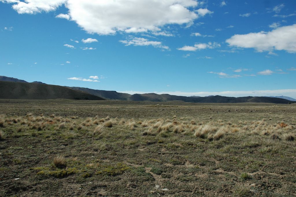 Sur la route de Christchurch, après le lac Tekapo