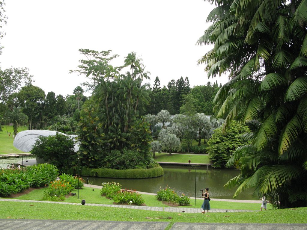 Le jardin botanique
