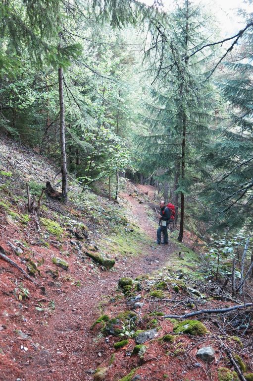 Descente vers les Gorges de Betendaz