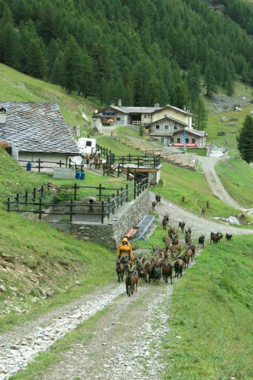 L'Alpe Servaz à 2005 m et le refuge Magia