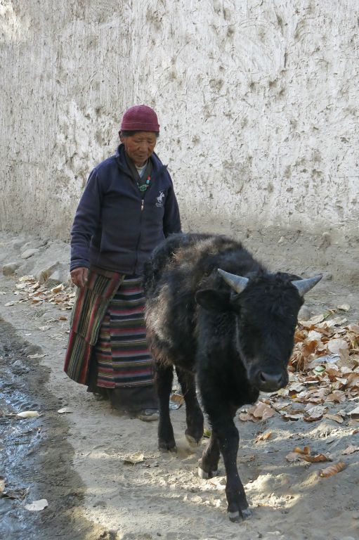 Toujours l'habit traditionnel tibétain 