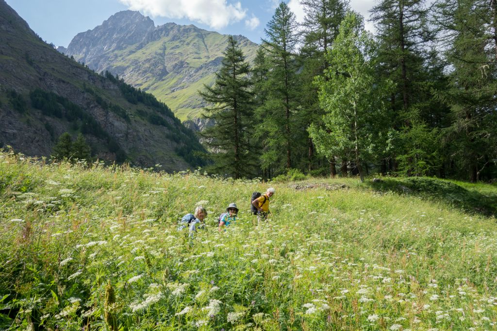 Nous ne sommes pas très grandes, soit, mais les herbes sont vraiment hautes