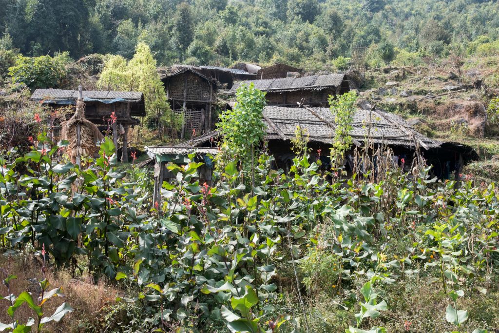 Hameau de maisons en bambou