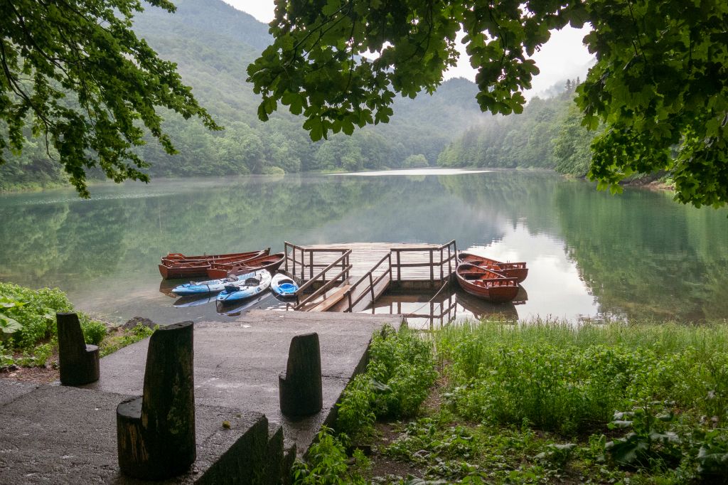 Camping dans le Parc national de Biogradska Gora . Ici le lac Biogradsko