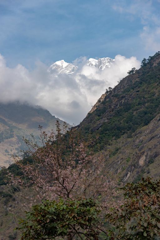 Vue sur le Gaurishankar (7134m)