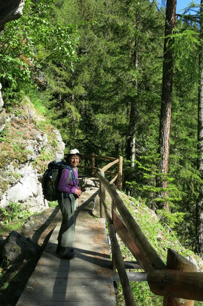 La prise d'eau du bisse est au dessus de Siviez, dans la Printse, puis le bisse coule vers l'Ouest  jusqu'au dessus de Saxon