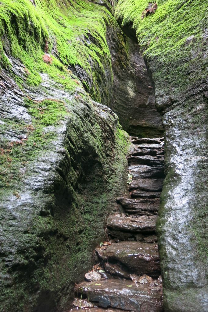 Attention, escalier glissant  vers les Gorges Nord-Est !