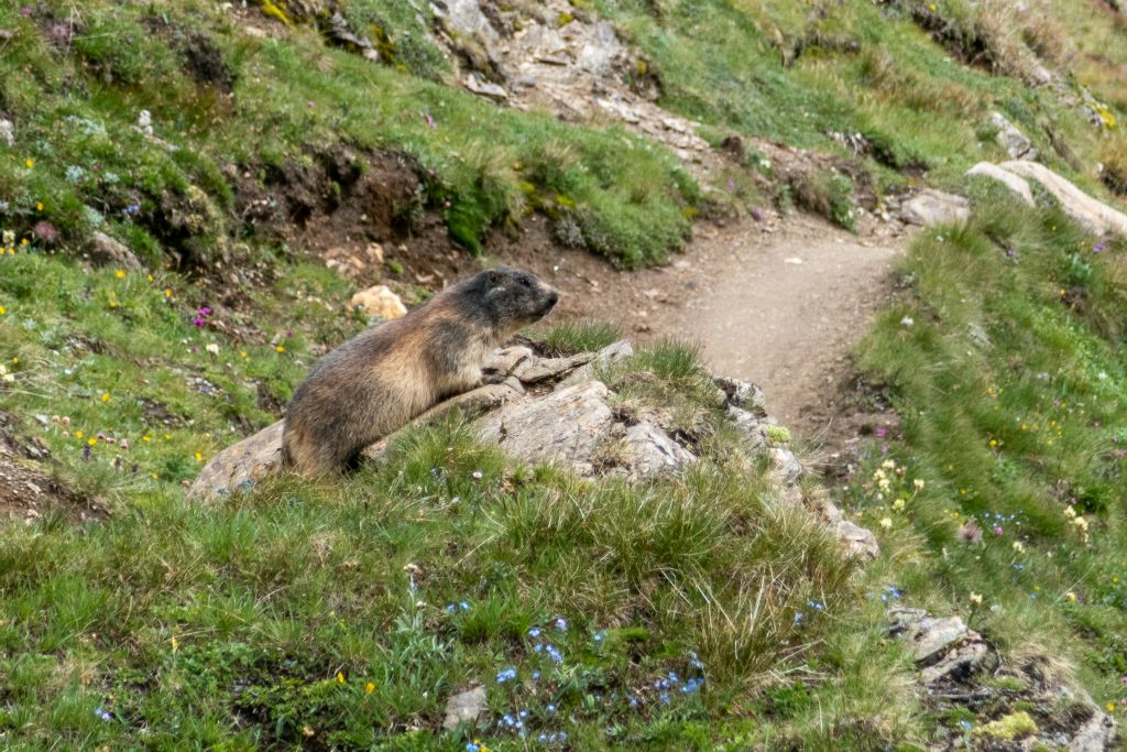 Une rencntre toujours inattendue et agréable