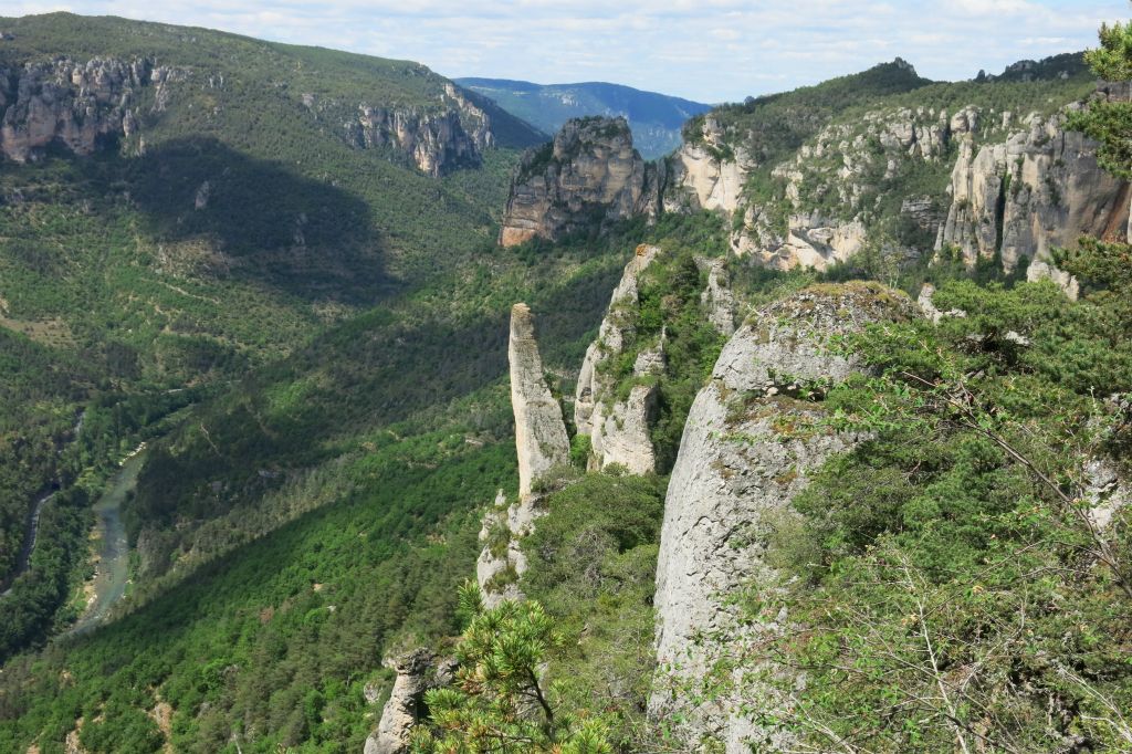 Le Tarn au fond de ses gorges