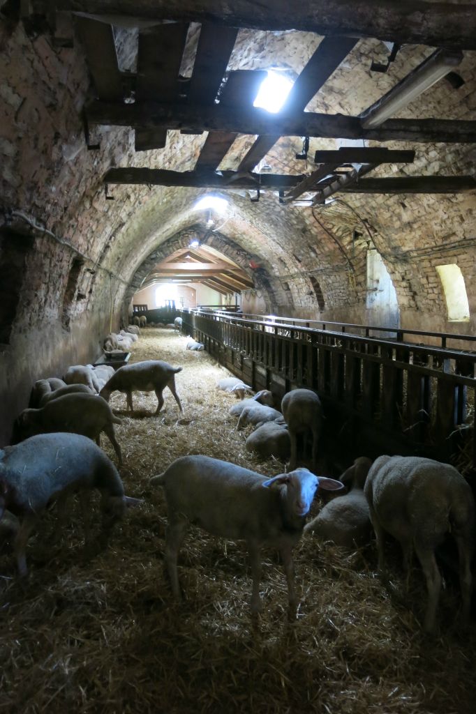 La bergerie dans une batisse traditionnelle voutée, sans charpente