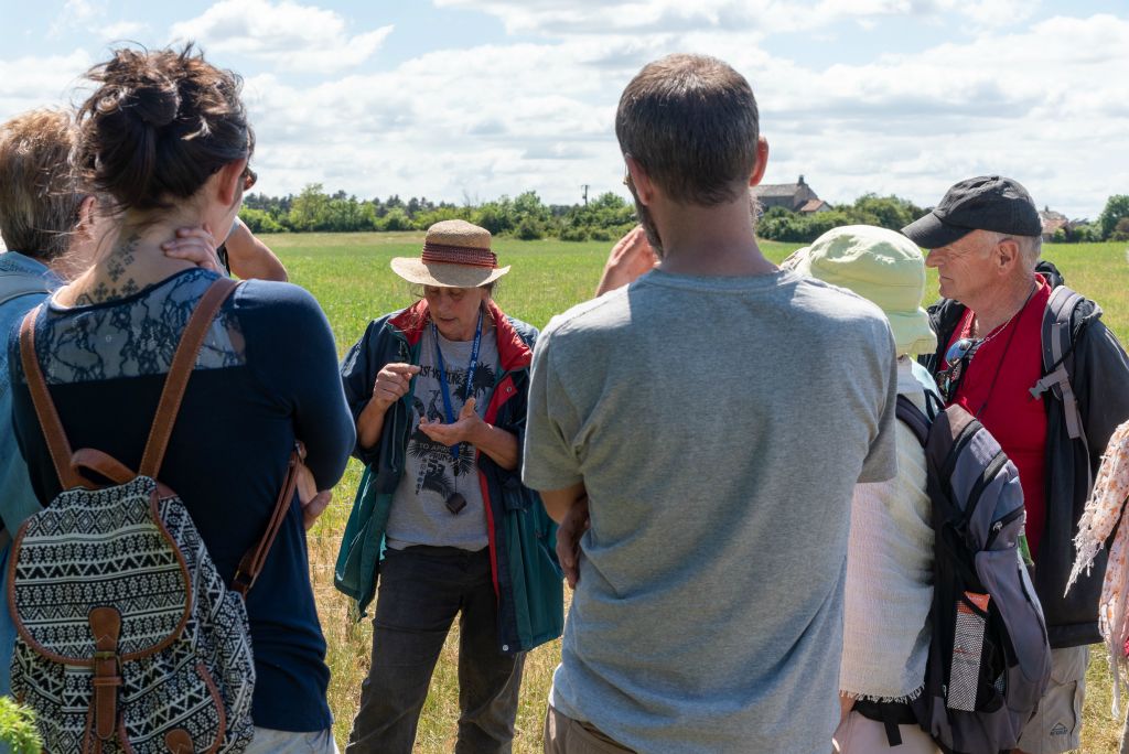 Chantal a organisé une sortie botanique sur le Larzac