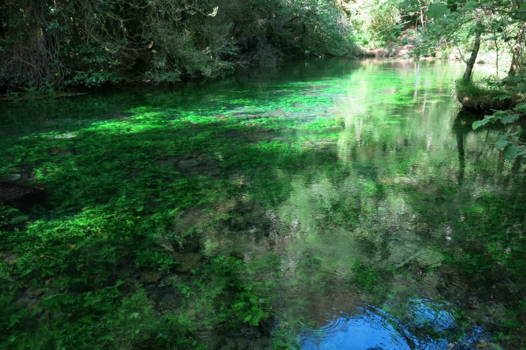 Tout près de la source du Douzon