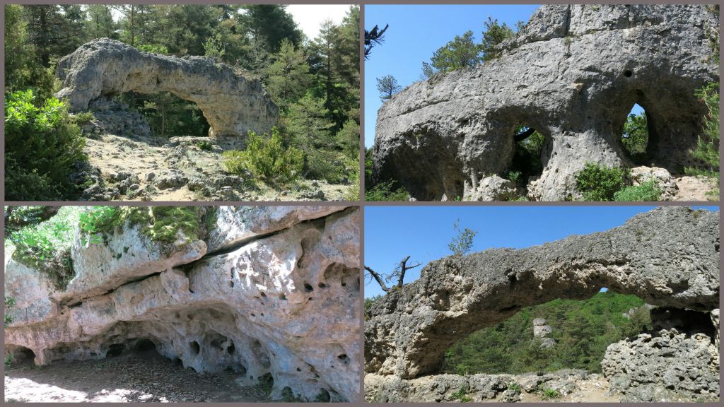 La nature est tès imaginative