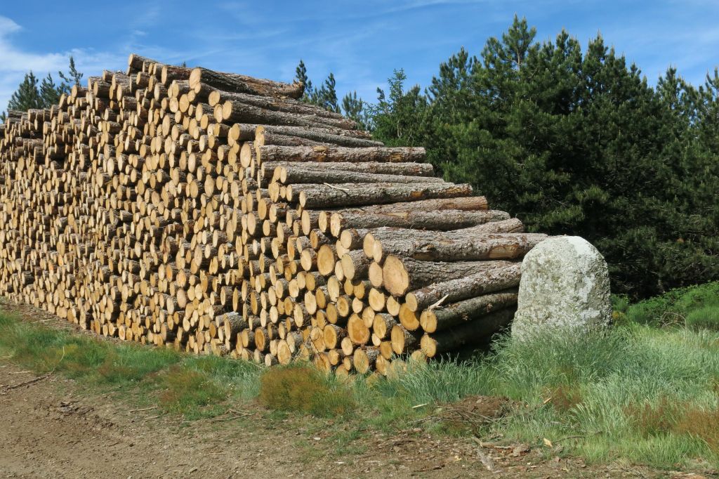 Le menhir de la journée