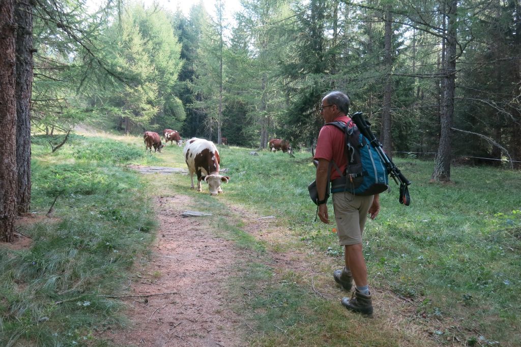 Sur le sentier 3F