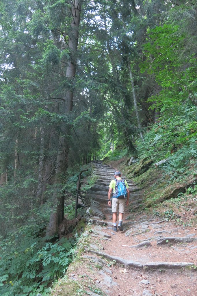 Nous suivons le sentier 3B du Tour du Mont Rose