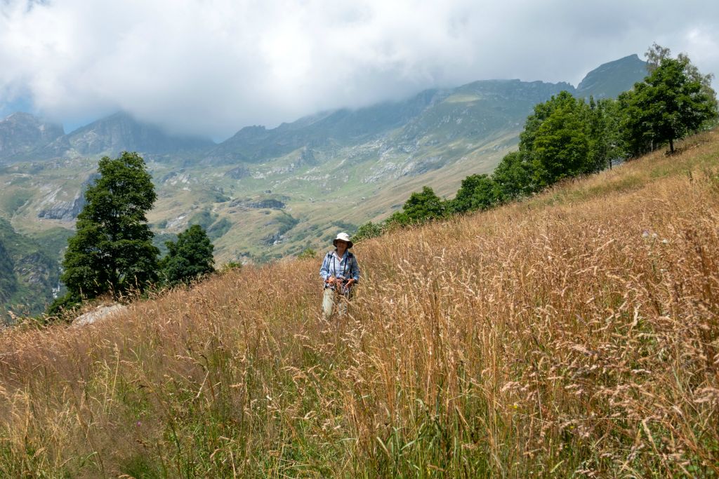 Sur le sentier, ou plutôt une trace en direction de Weng