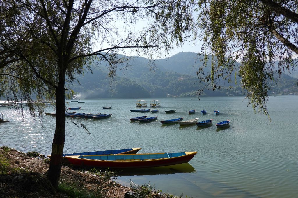 Promenade le long du lac Phewa de Pokhara, très prisée des népalais