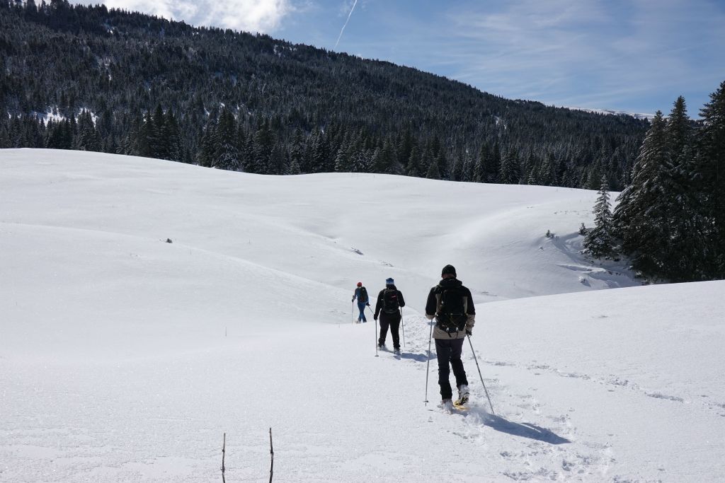 C'est reparti, en direction de la Croix de l'Alpe