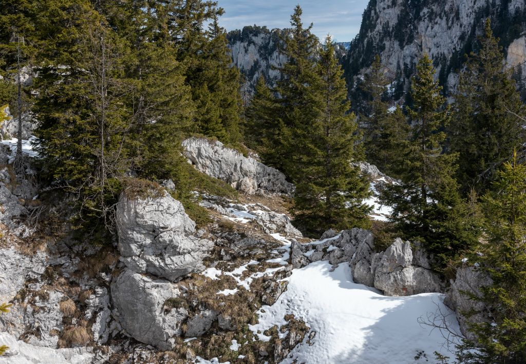 Vers la Combe des Eparres