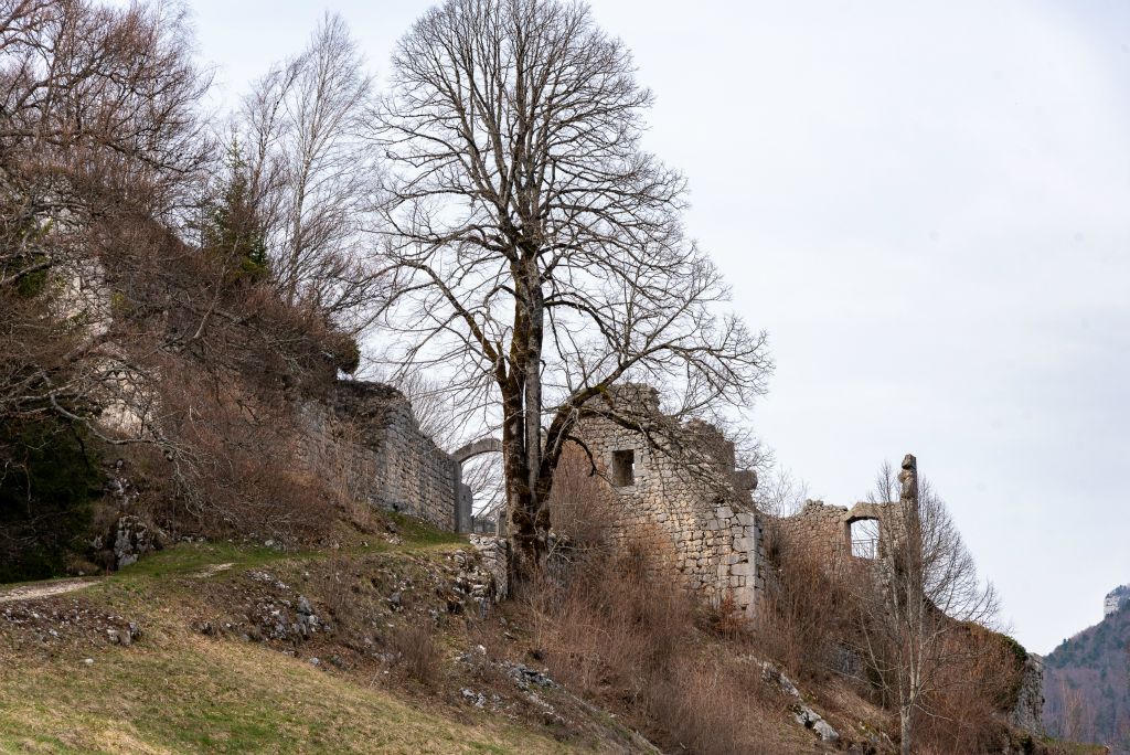 Ruines du château de Montbel qui domine St-Pierre d'Entremont