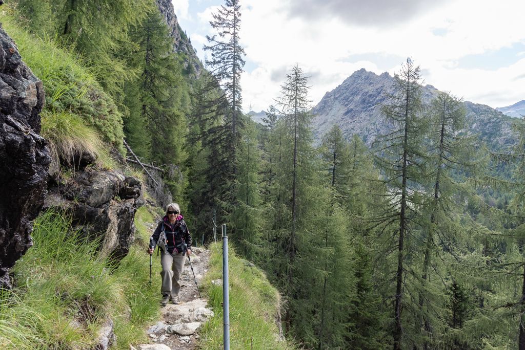 Agréable montée en forêt