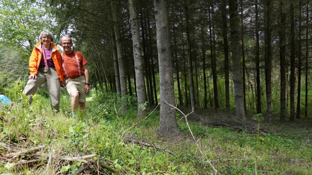 Difficile de trouver un endroit de pique-nique dans cette grande forêt qui n'en finit pas.