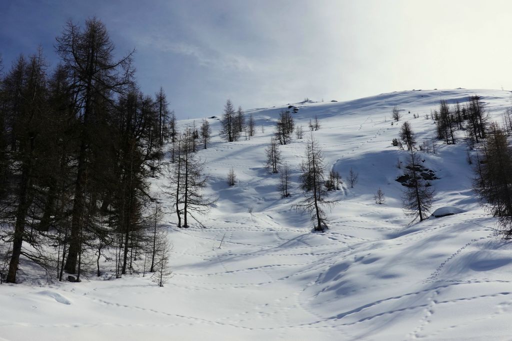 Non, non, aucune trace d'humains ! 