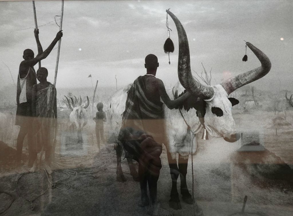 Campement de bétail au Soudan du Sud, 2006