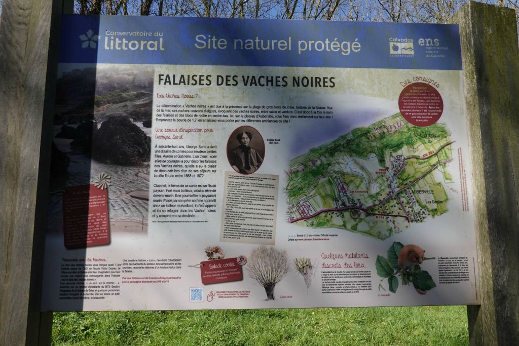 En longeant la côte vers l'ouest : depuis le haut des falaises, les vaches noires (gros rochers noirs sur la plage) sont invisibles !