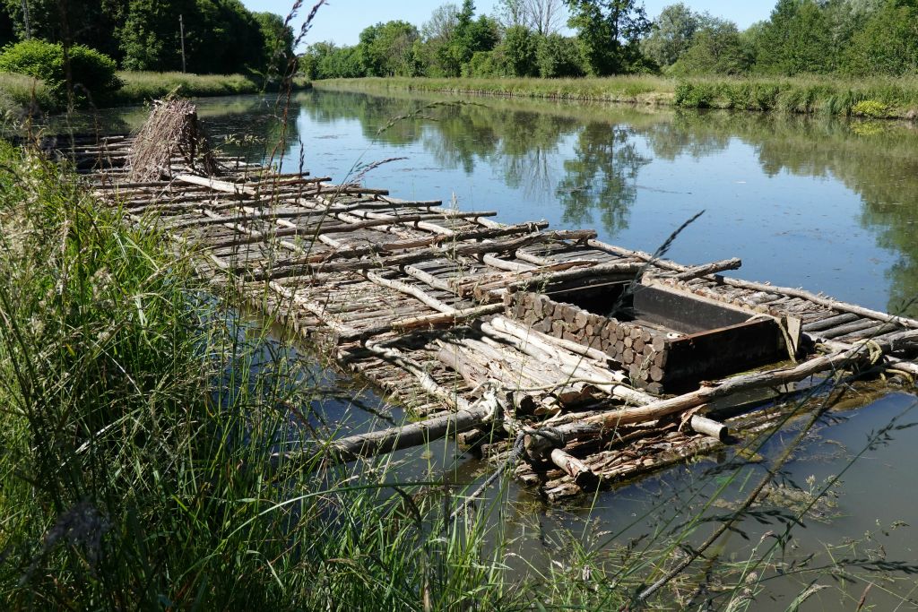 Reconstitution d'un train de flottage (spécificité du Morvan) : train de bûches qui, au 16ème siècle, était convoyé jusqu'à Paris