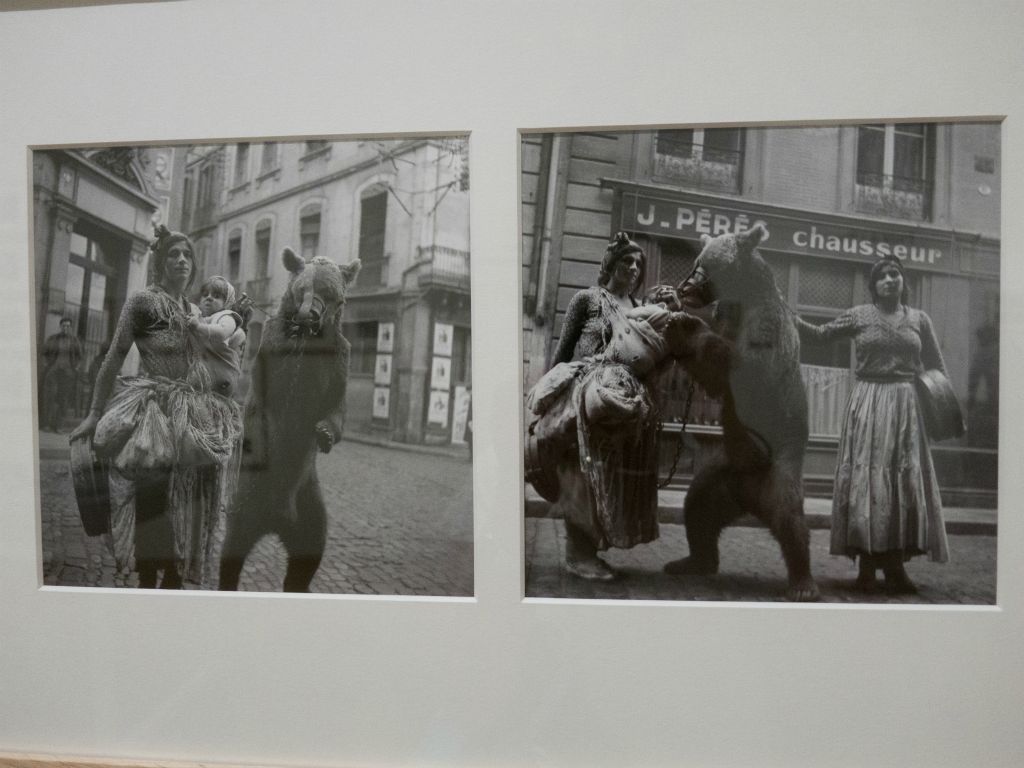 Femmes montreuses d'ours et de singes à Toulouse dans les années 1935-1950